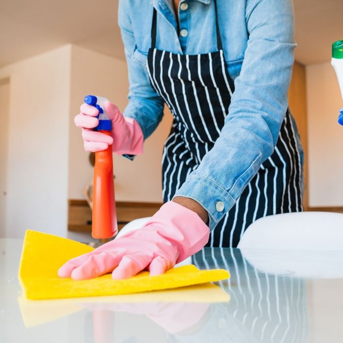 close-up-of-woman-cleaning-her-house-CNZ7F47.jpg
